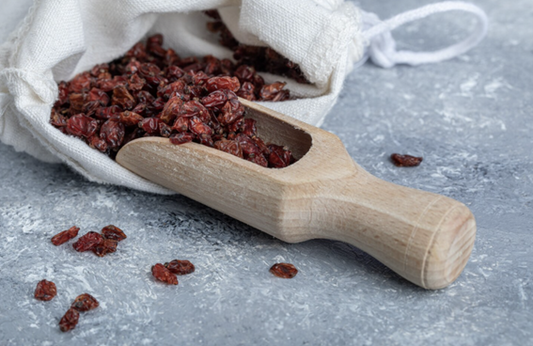 ARANDANO DESHIDRATADO 100 GR